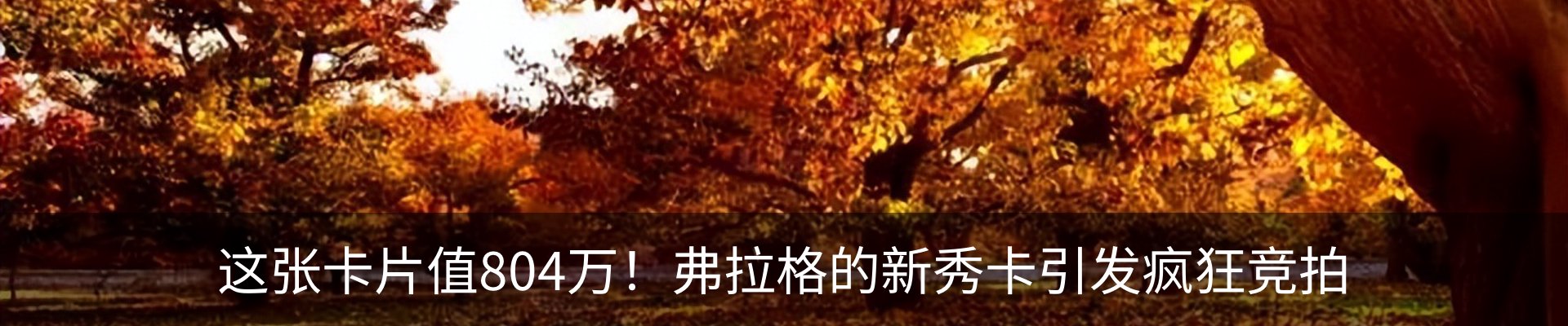 资讯中心